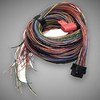 A Loom Long (5LA)