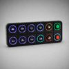 Link CAN Keypad 12 button
