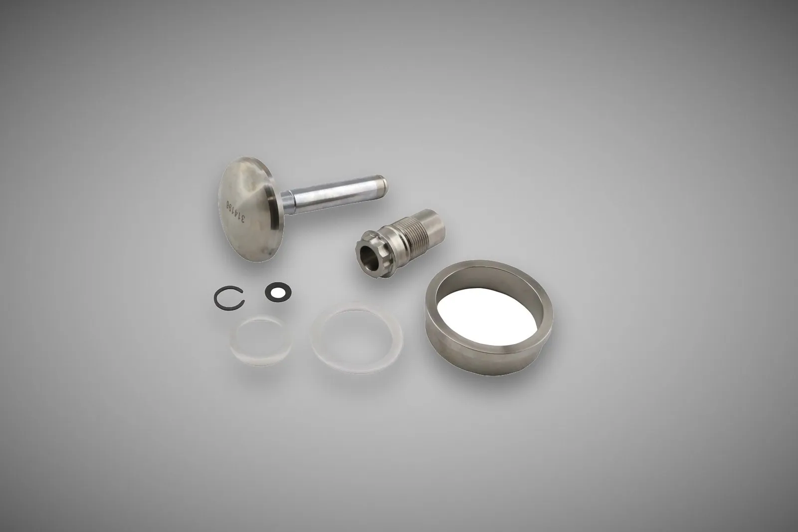 Turbosmart GenV WG45 Valve & Guide Set