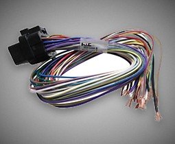 Link B Loom Short (0LB)